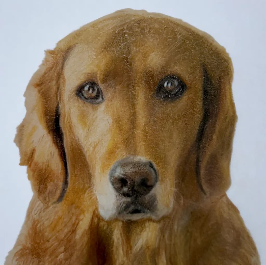 Golden Companion