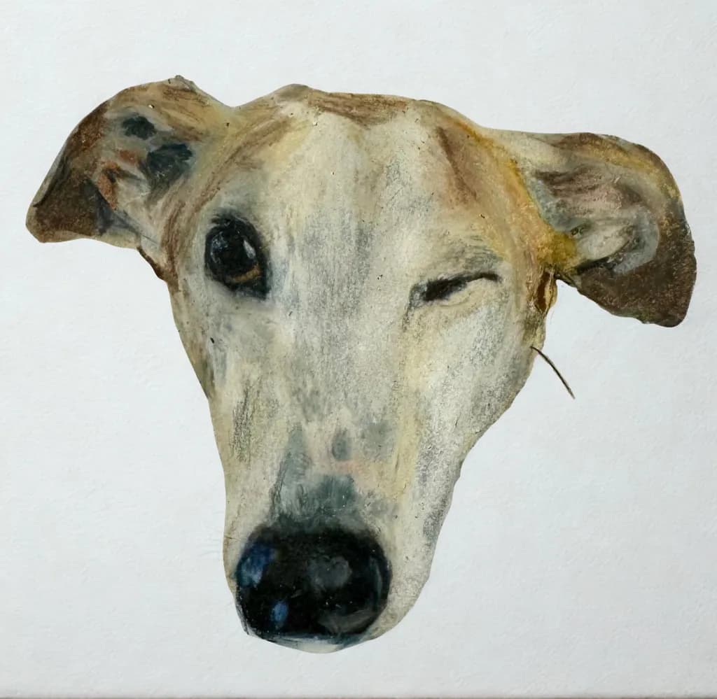 Winking Canine