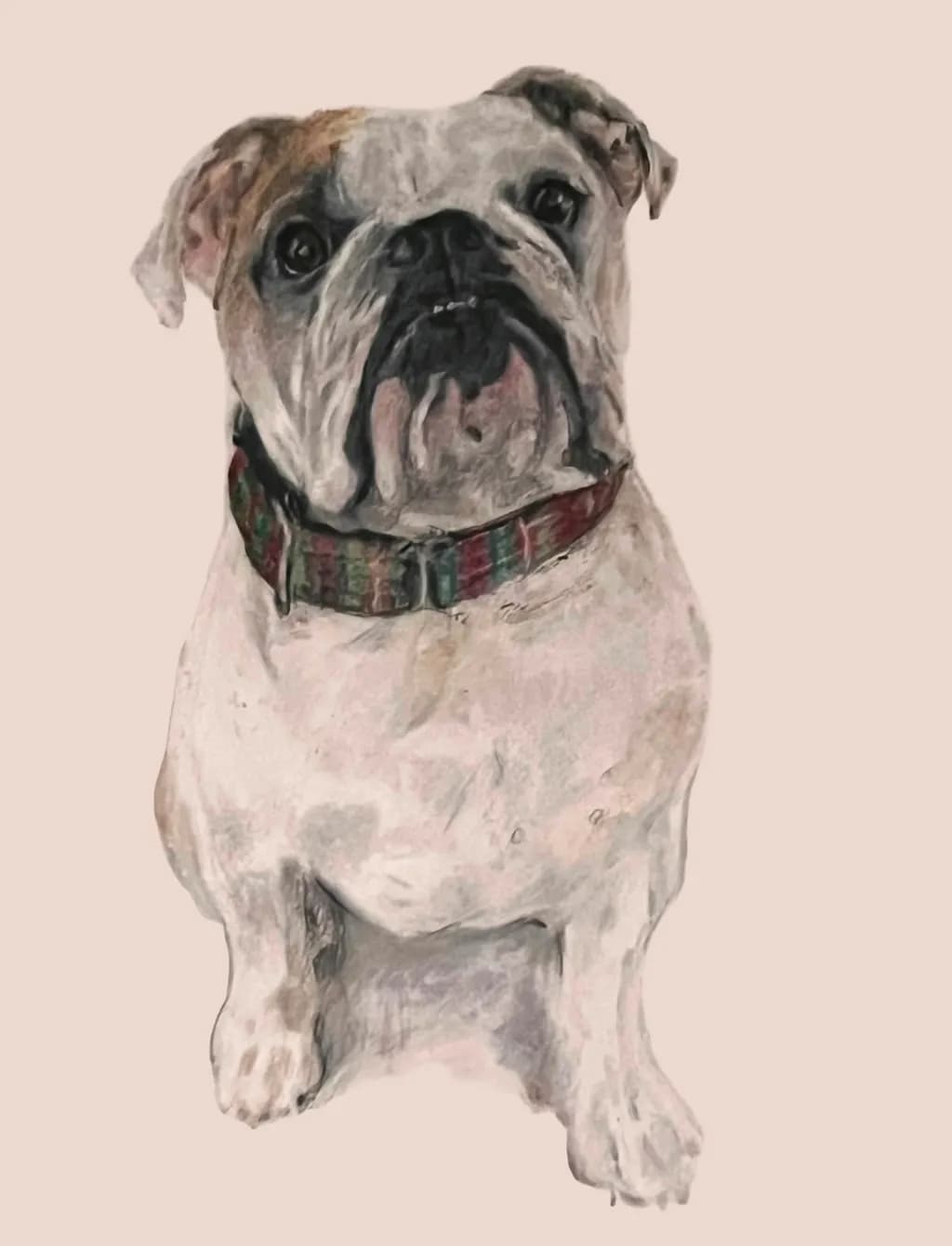 Adorable Bulldog Portrait