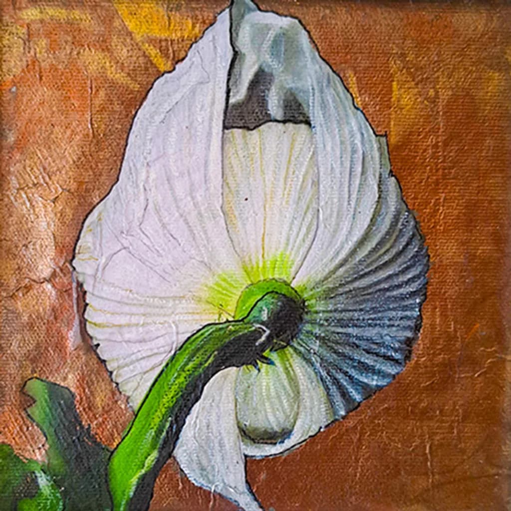 Petal Backdrop