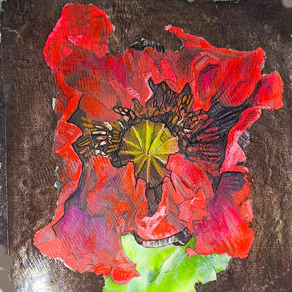 Red Bloom