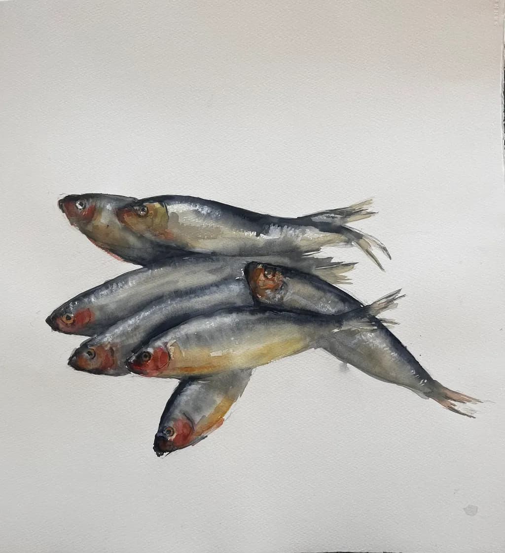 Silver Schooling Fish
