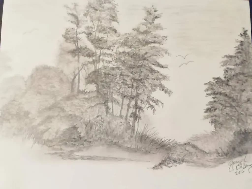 Quiet Woodland Edge