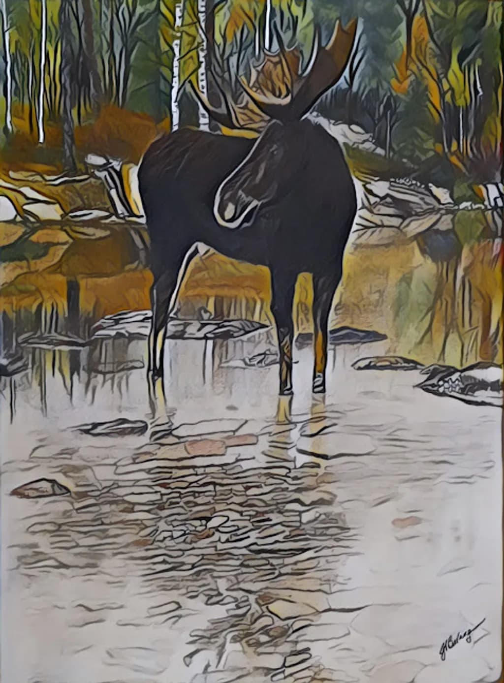 Moose Reflection