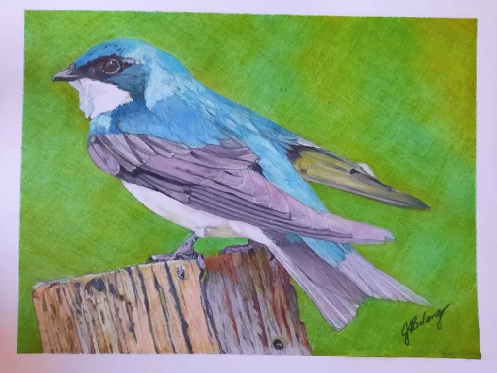 Perched Bluebird