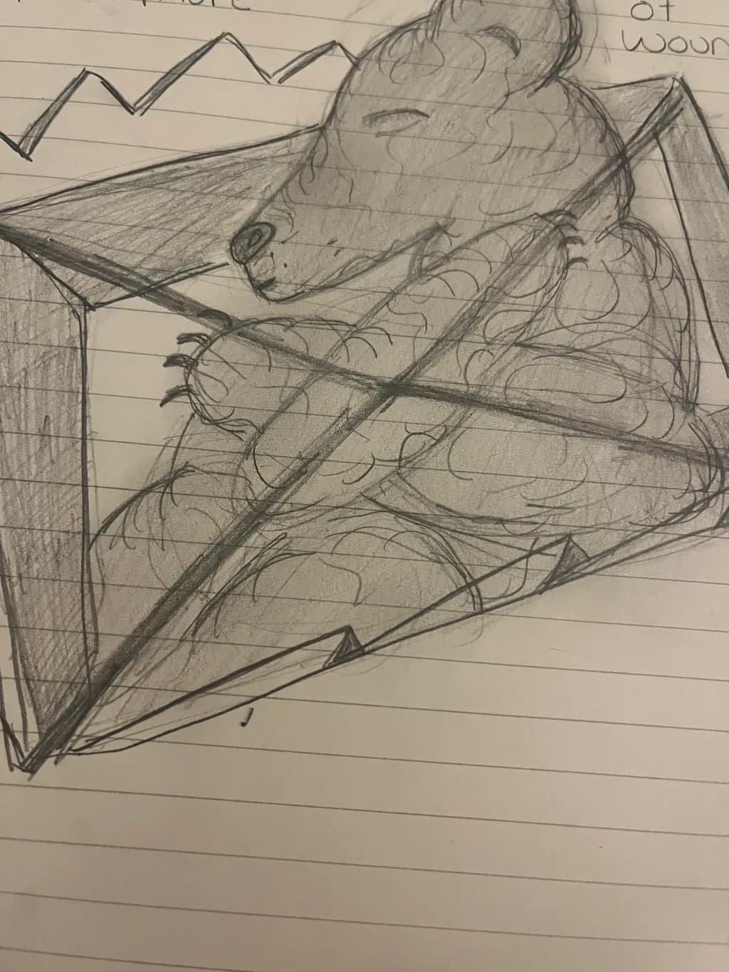 Caged Comfort