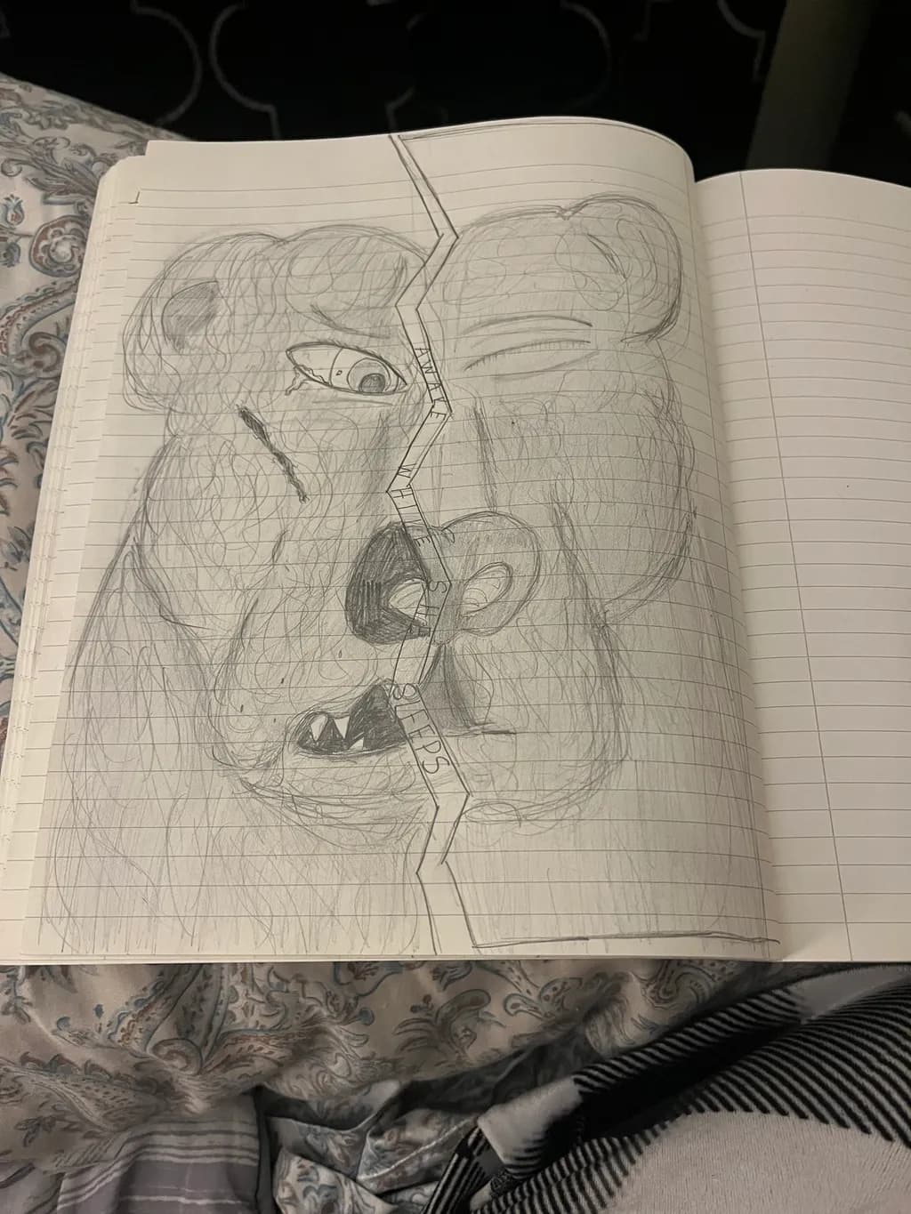 Duality of Bears
