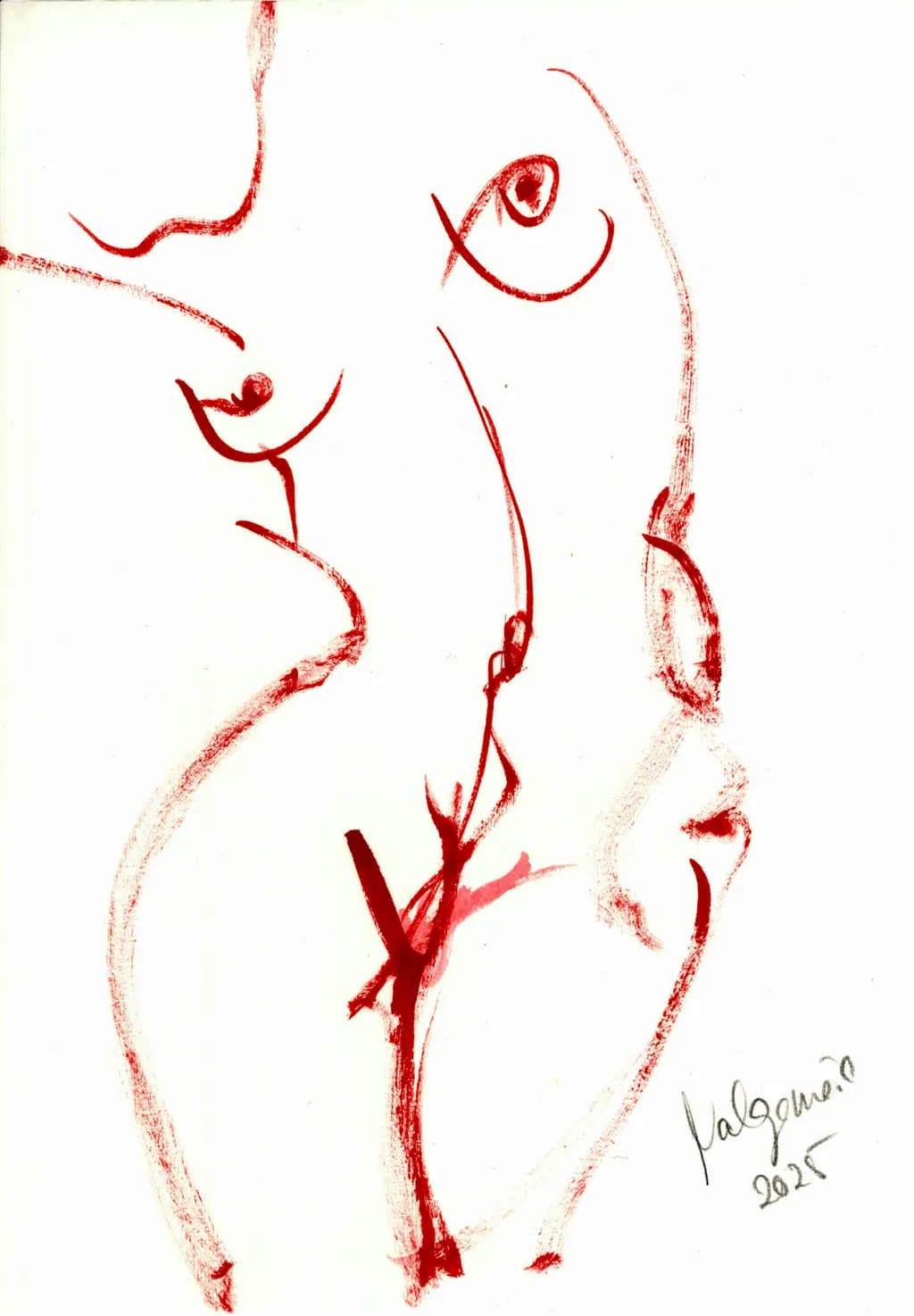 Red Contours