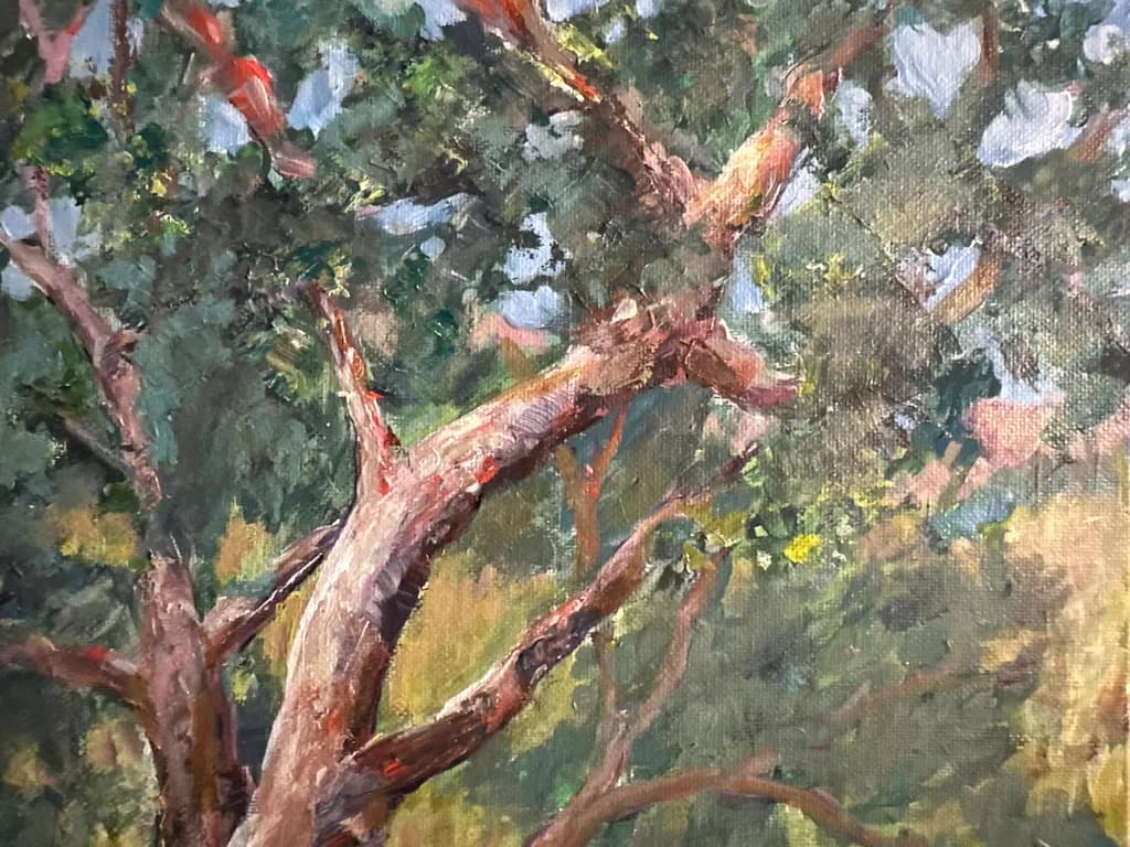 Twisted Branches
