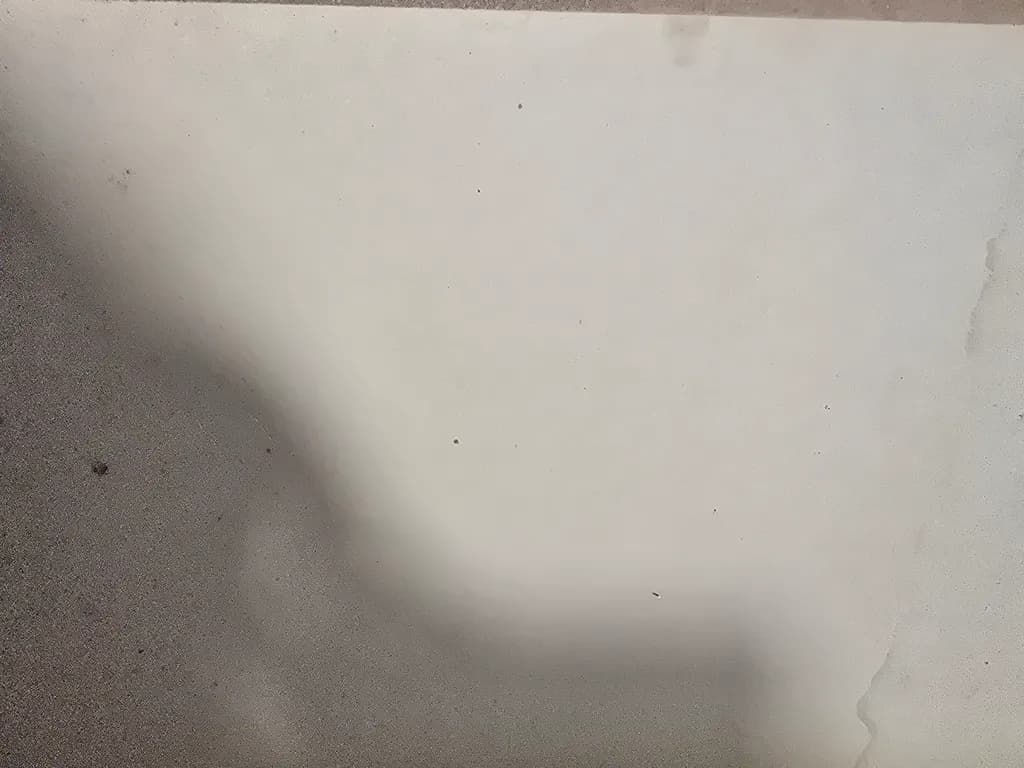 Fleeting Shadows