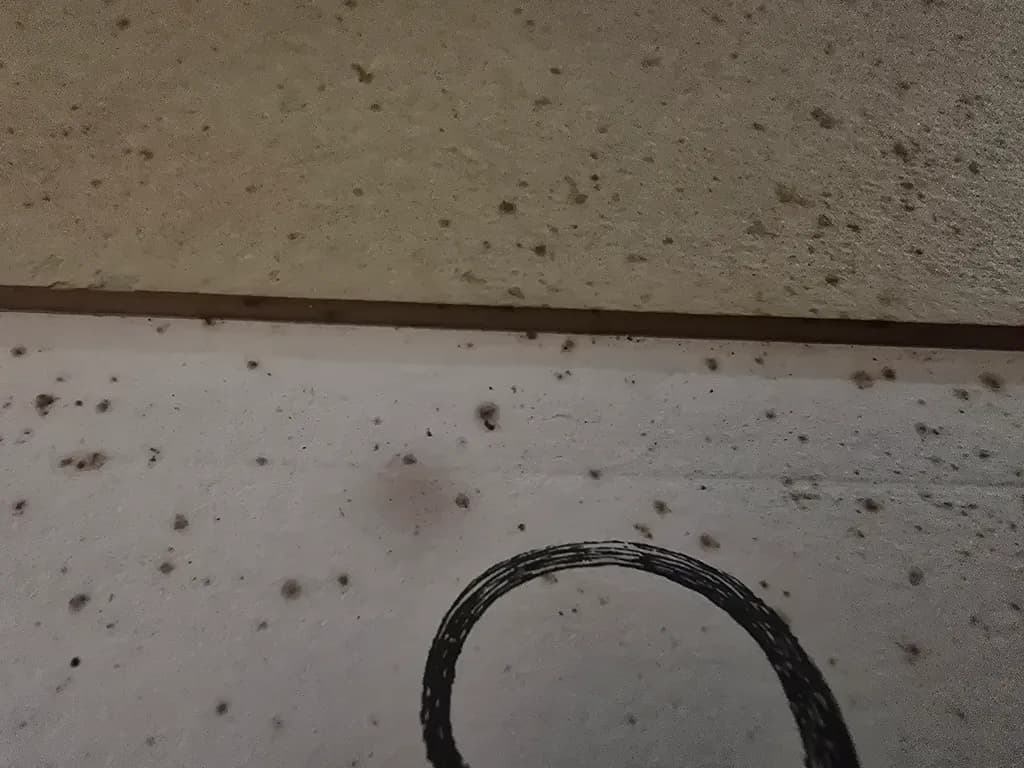 Textured Circle