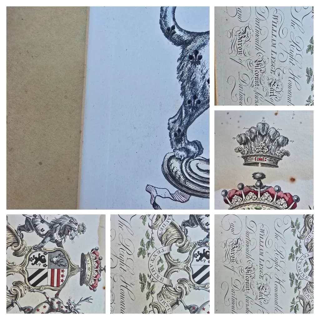 Heraldic Elegance