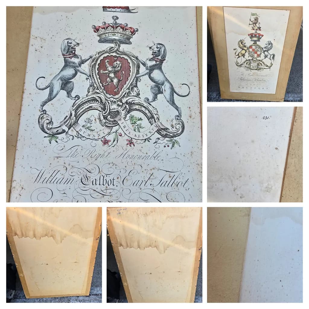 Heraldic Elegance