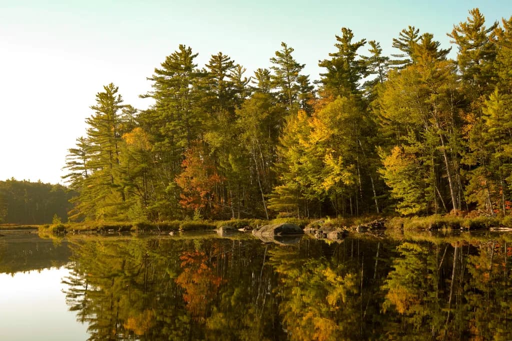 Autumn Reflections