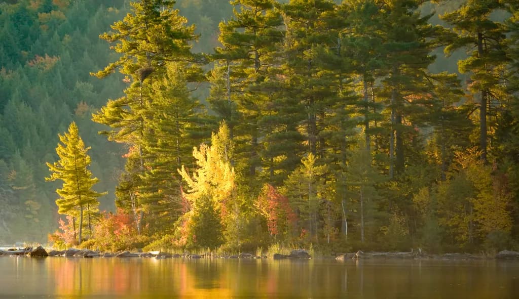 Hint of Fall