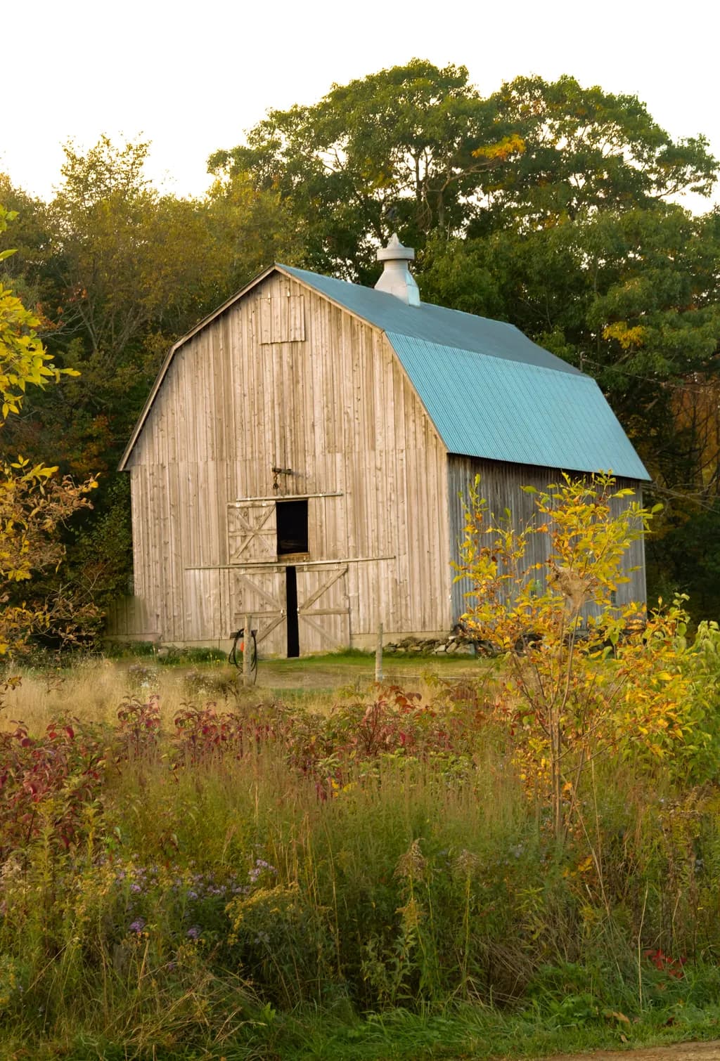 Autumnal Barn