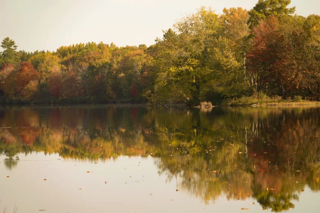 Falling for Maine