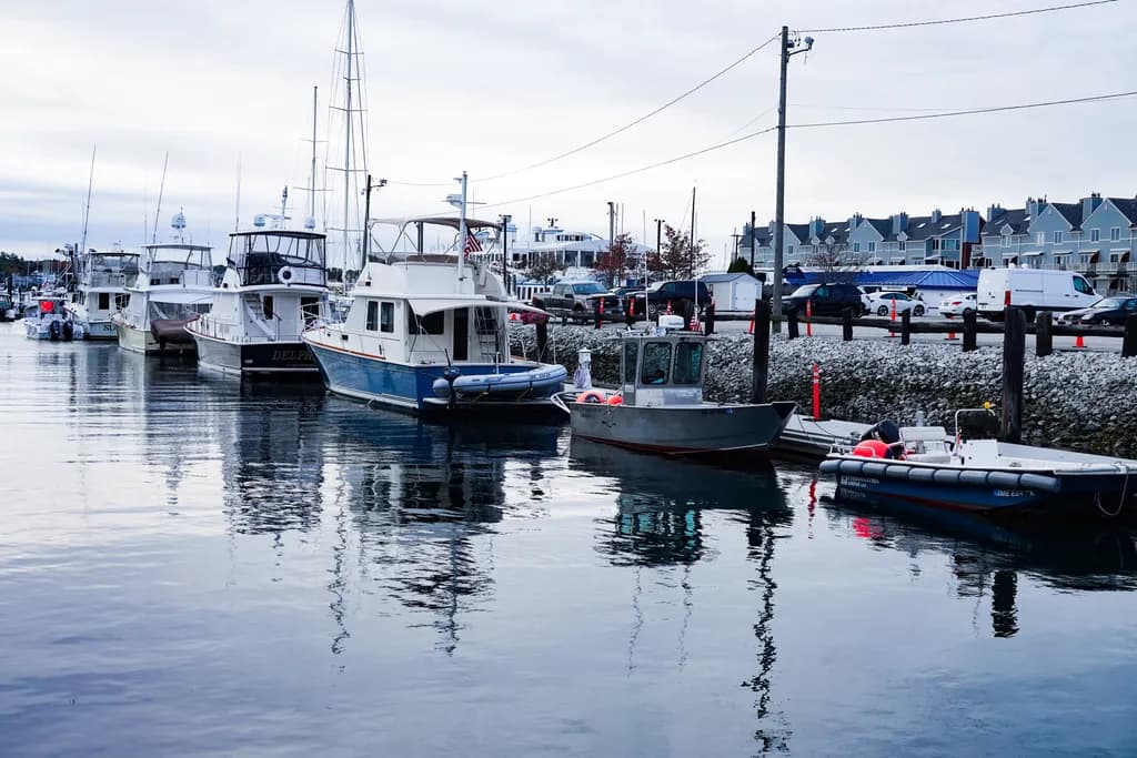 Portland Harbor Boats