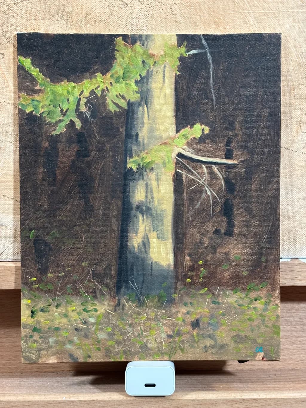 Forest Embrace