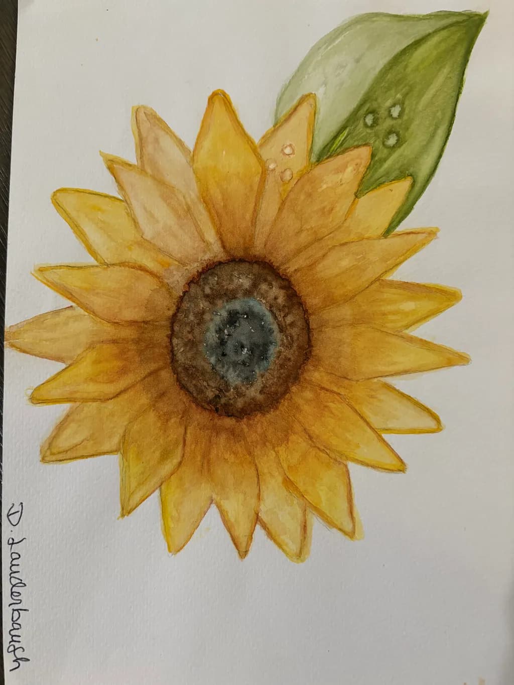 Sunflower Radiance