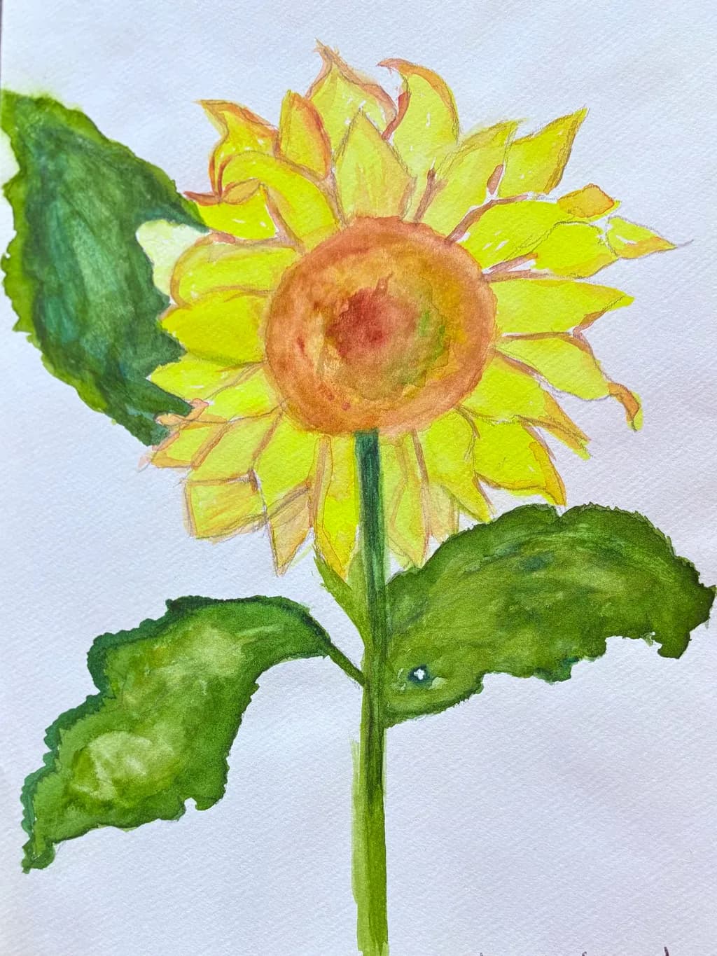 Sunflower Bloom