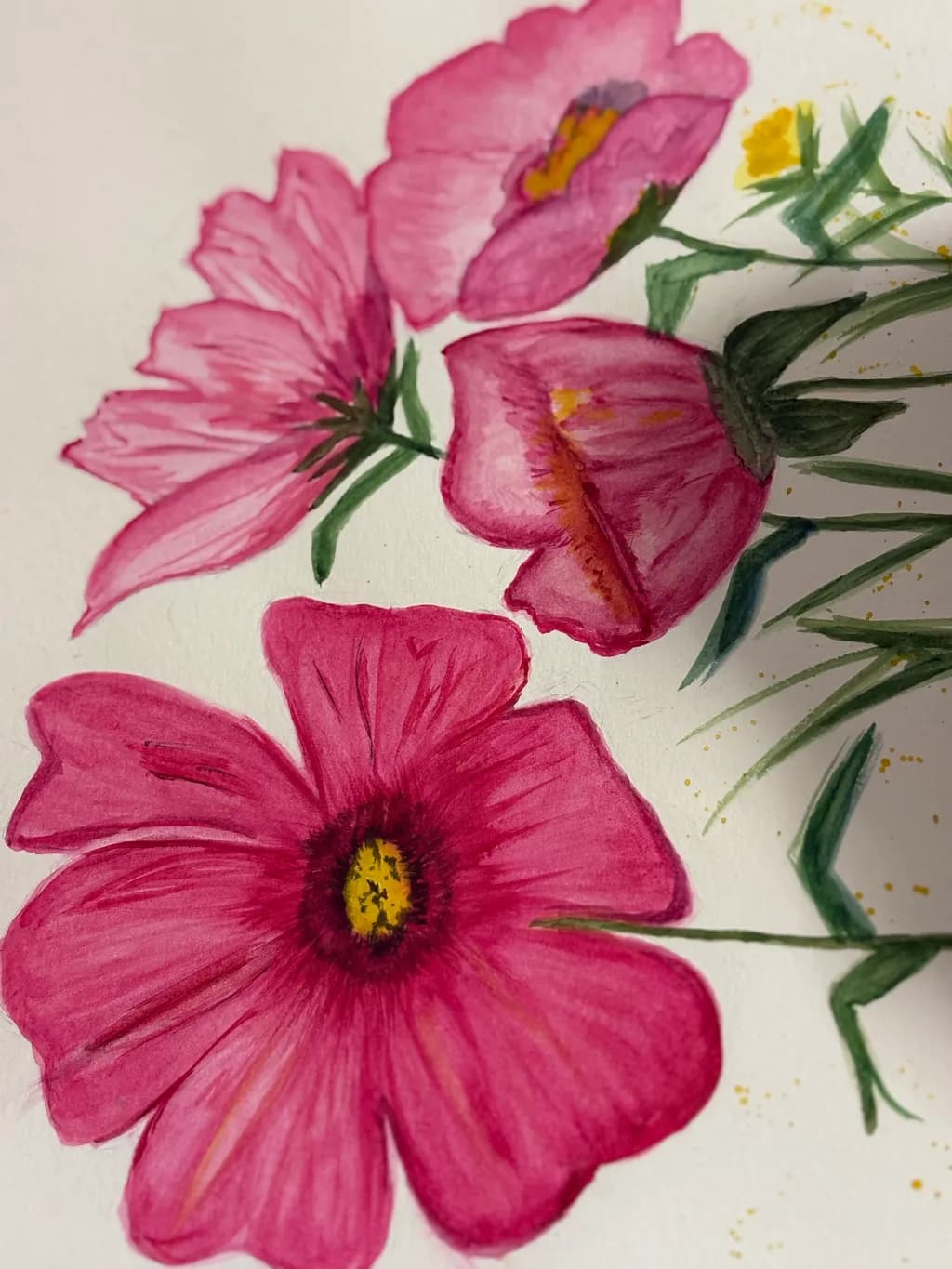 A flower. Delicate., and delightful