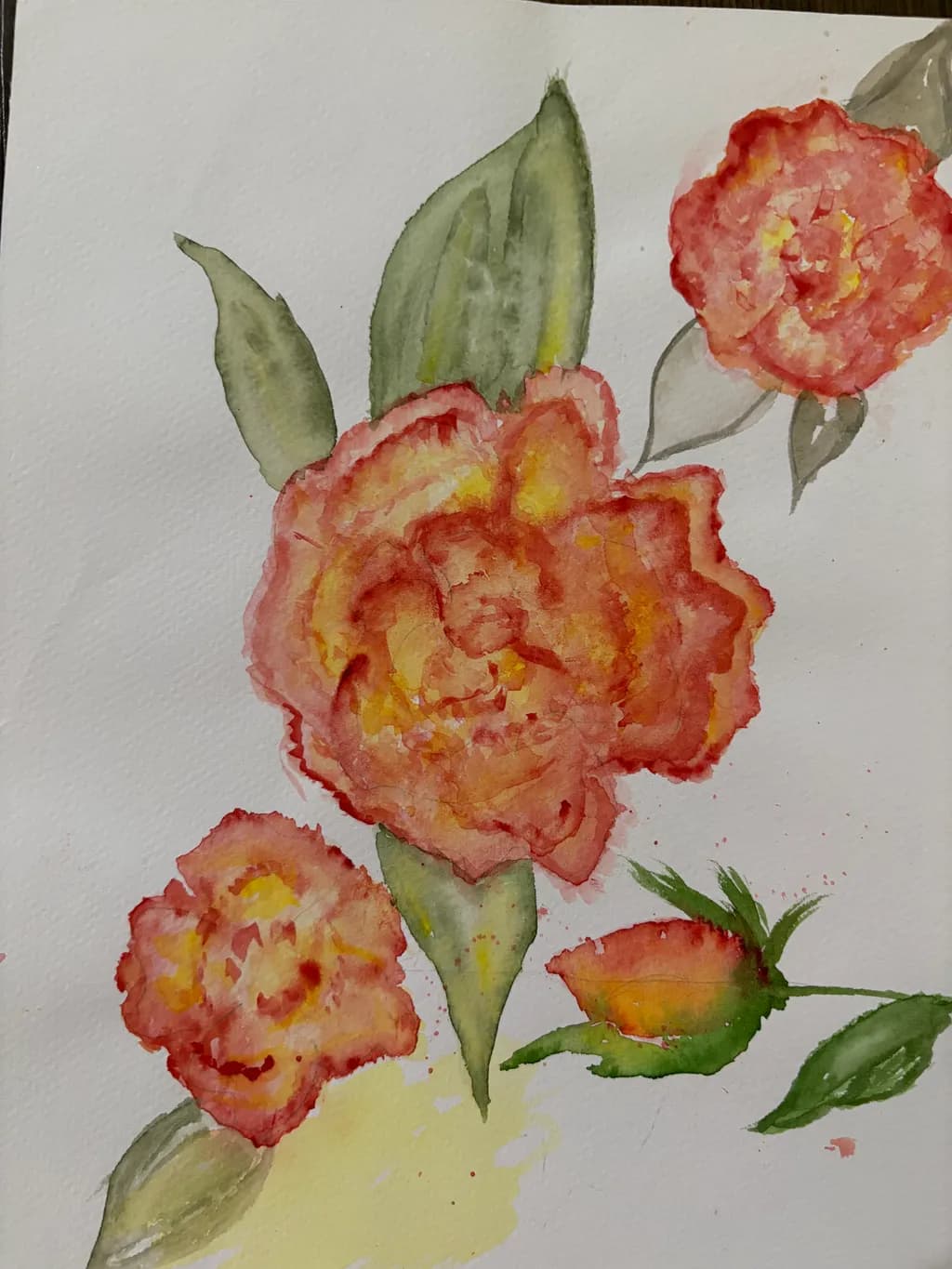 Blooming Coral Delight