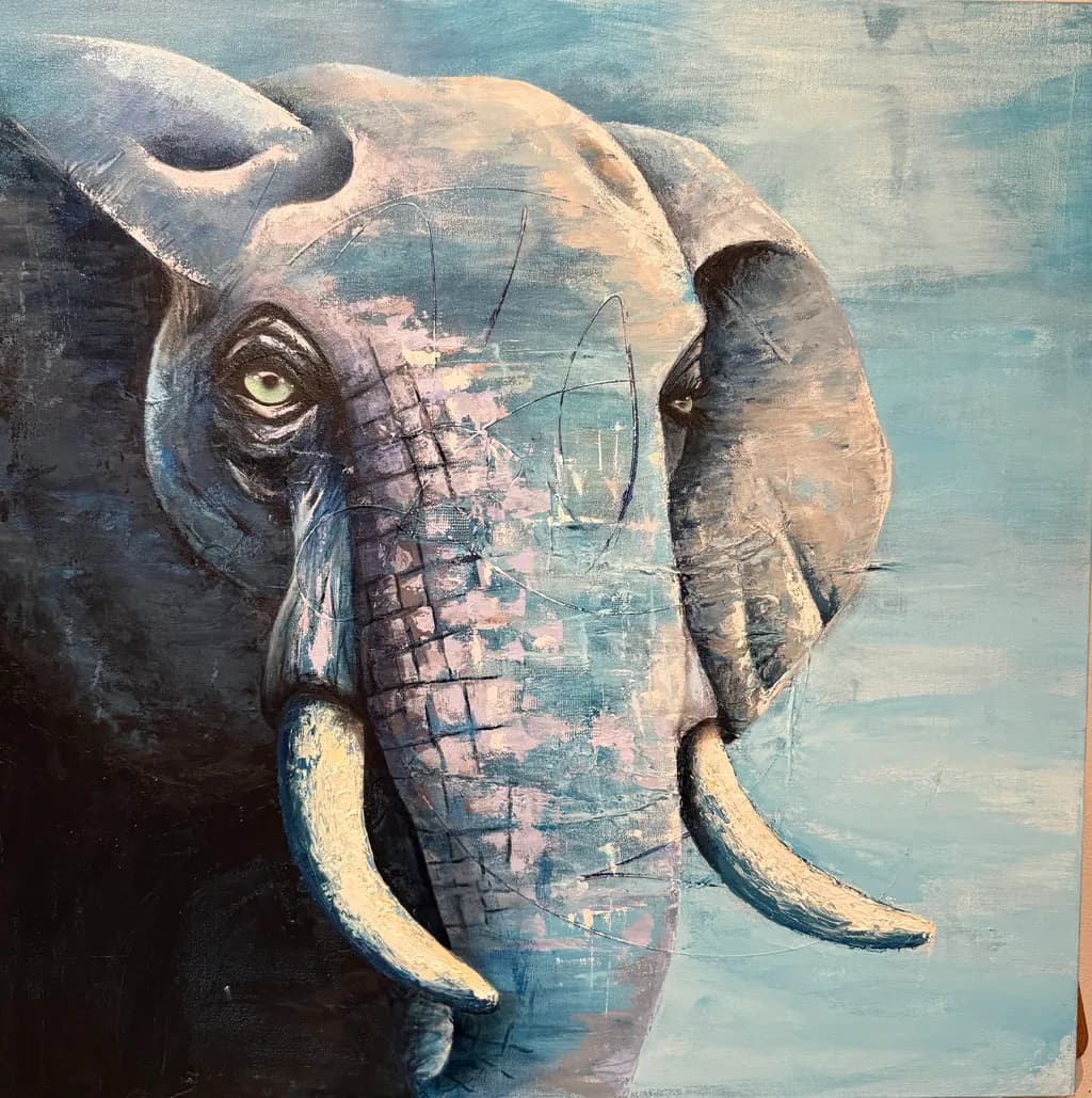 Elephant Gaze