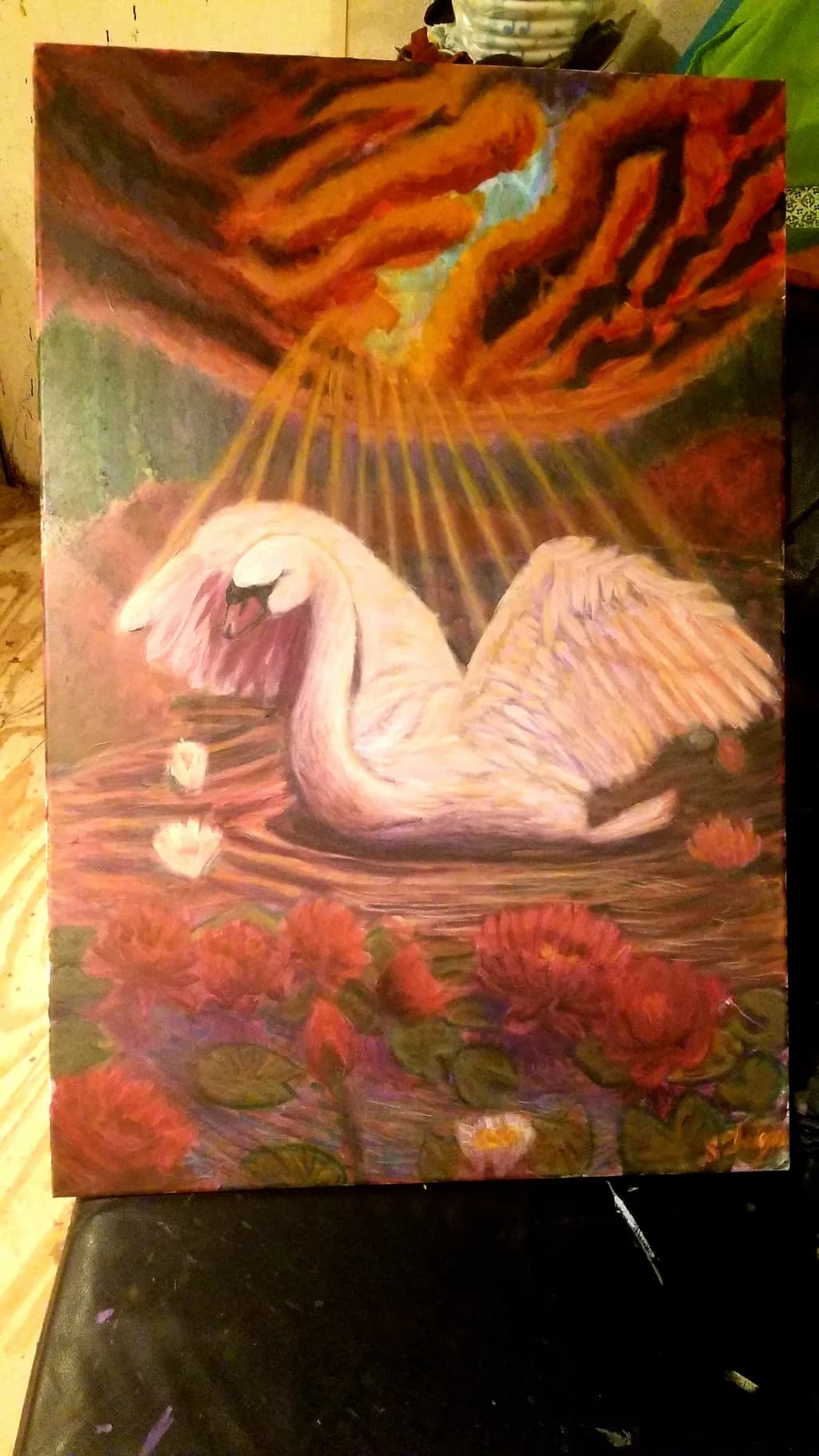 Swan Reflections