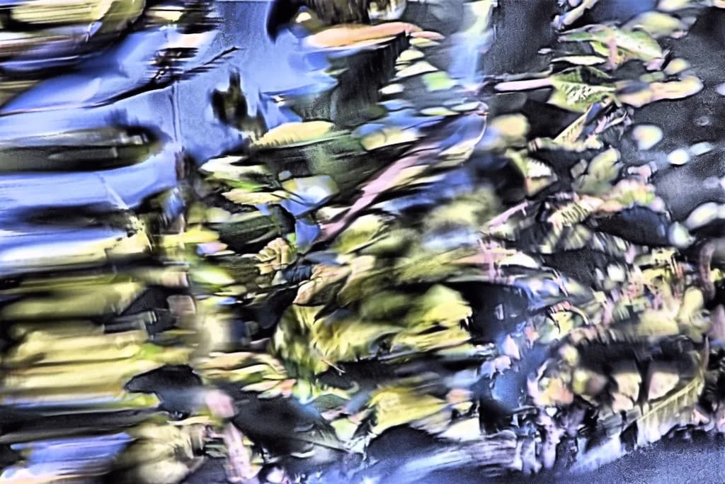 Fluid Reflections