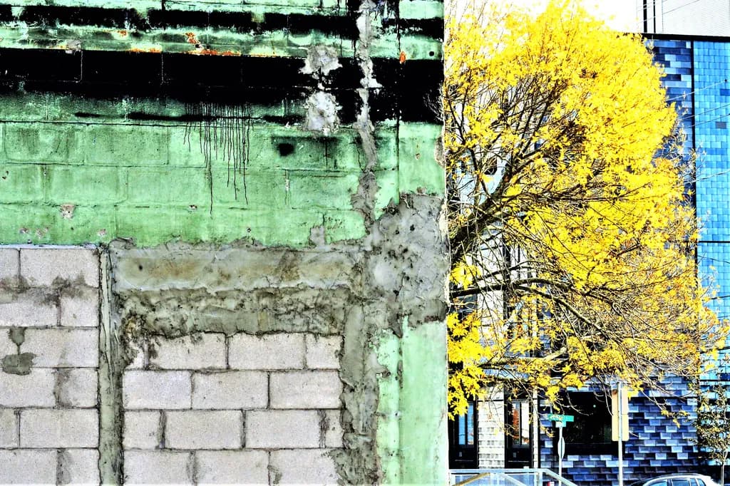 Urban Contrast