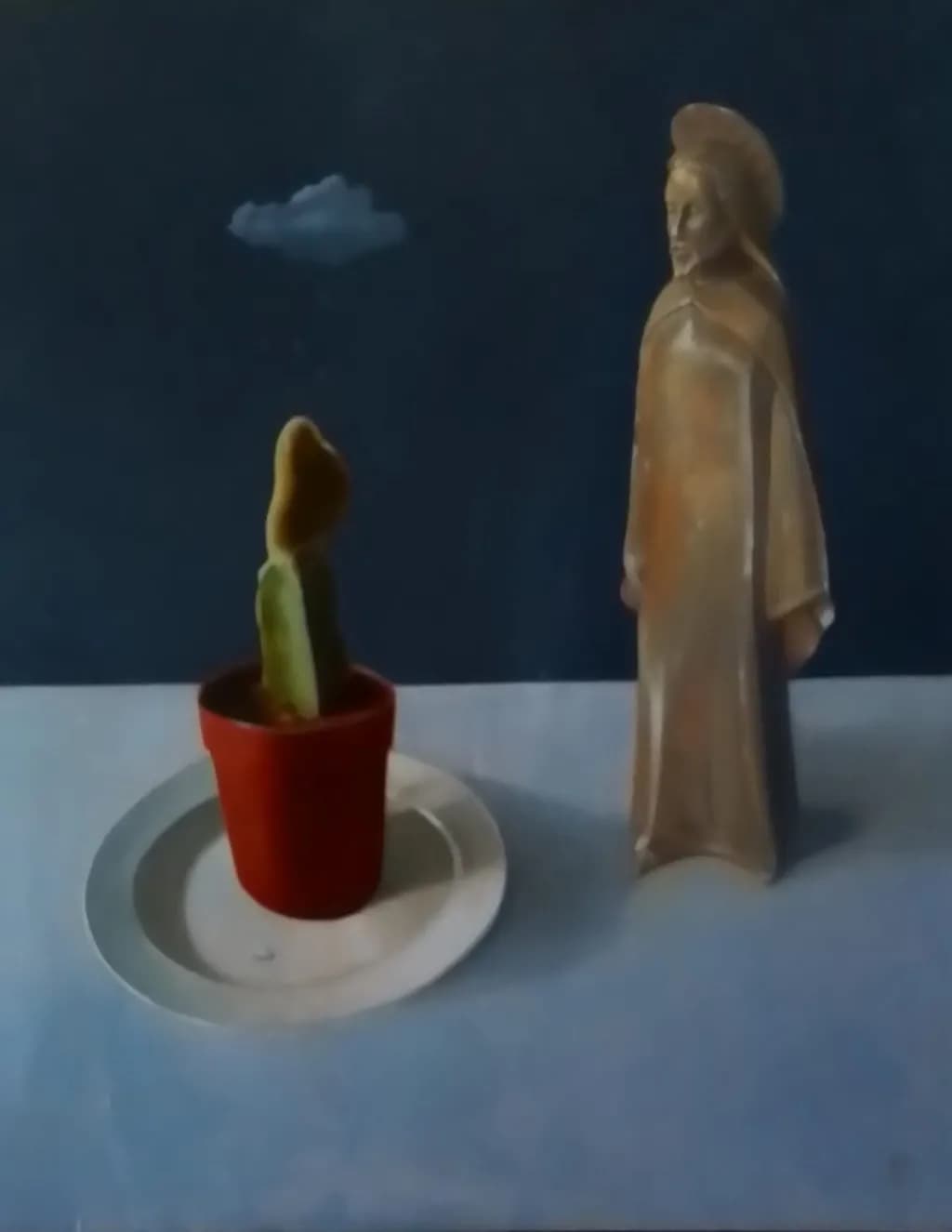 Cactus Encounter