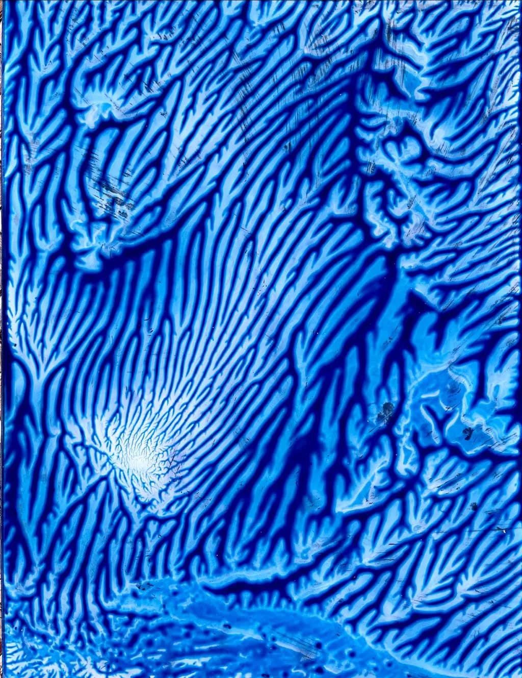 Blue Currents