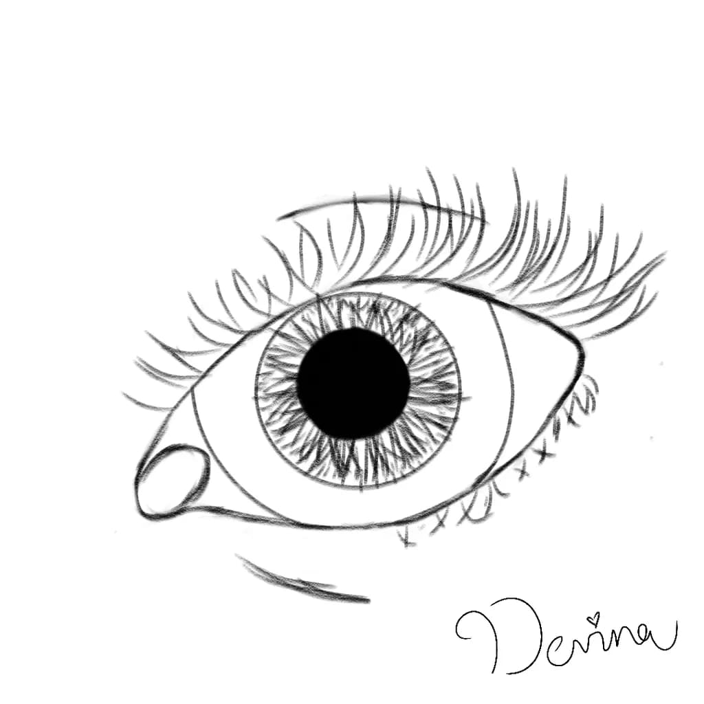 Intricate Eye Sketch