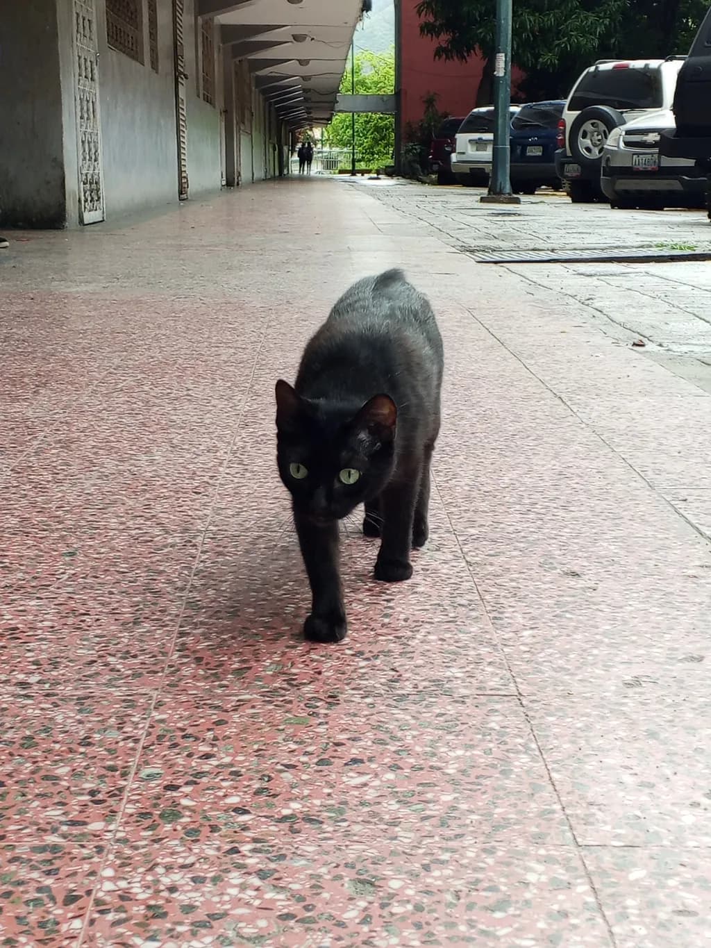 Urban Stroll