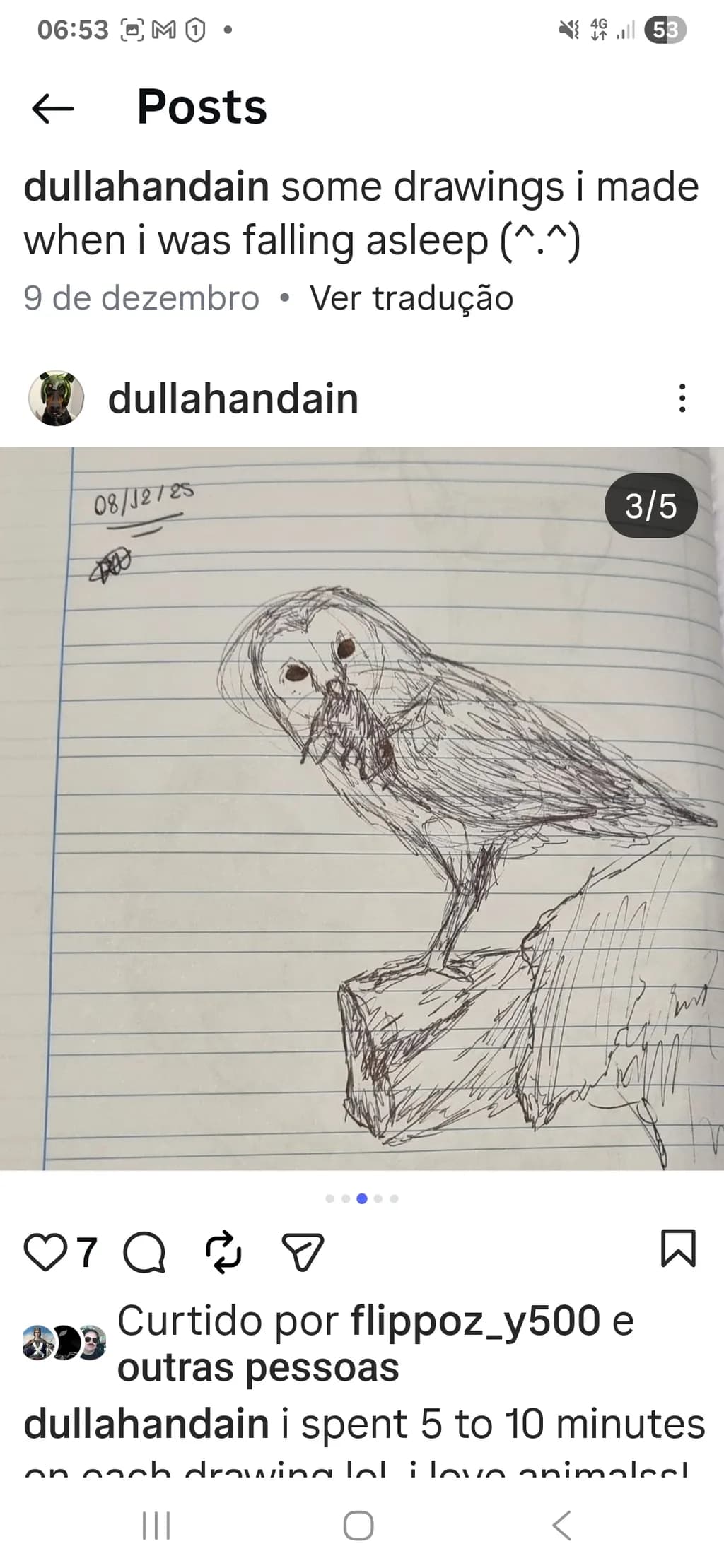 Owl Sketch