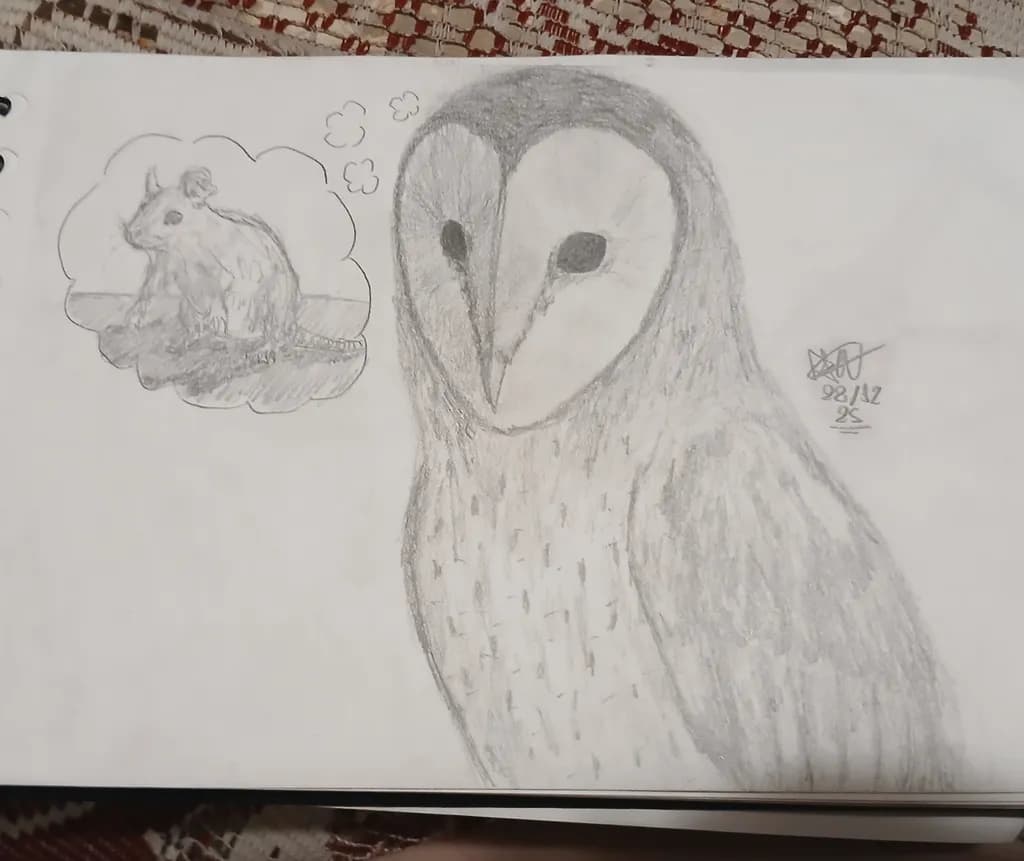 Owl's Reflection