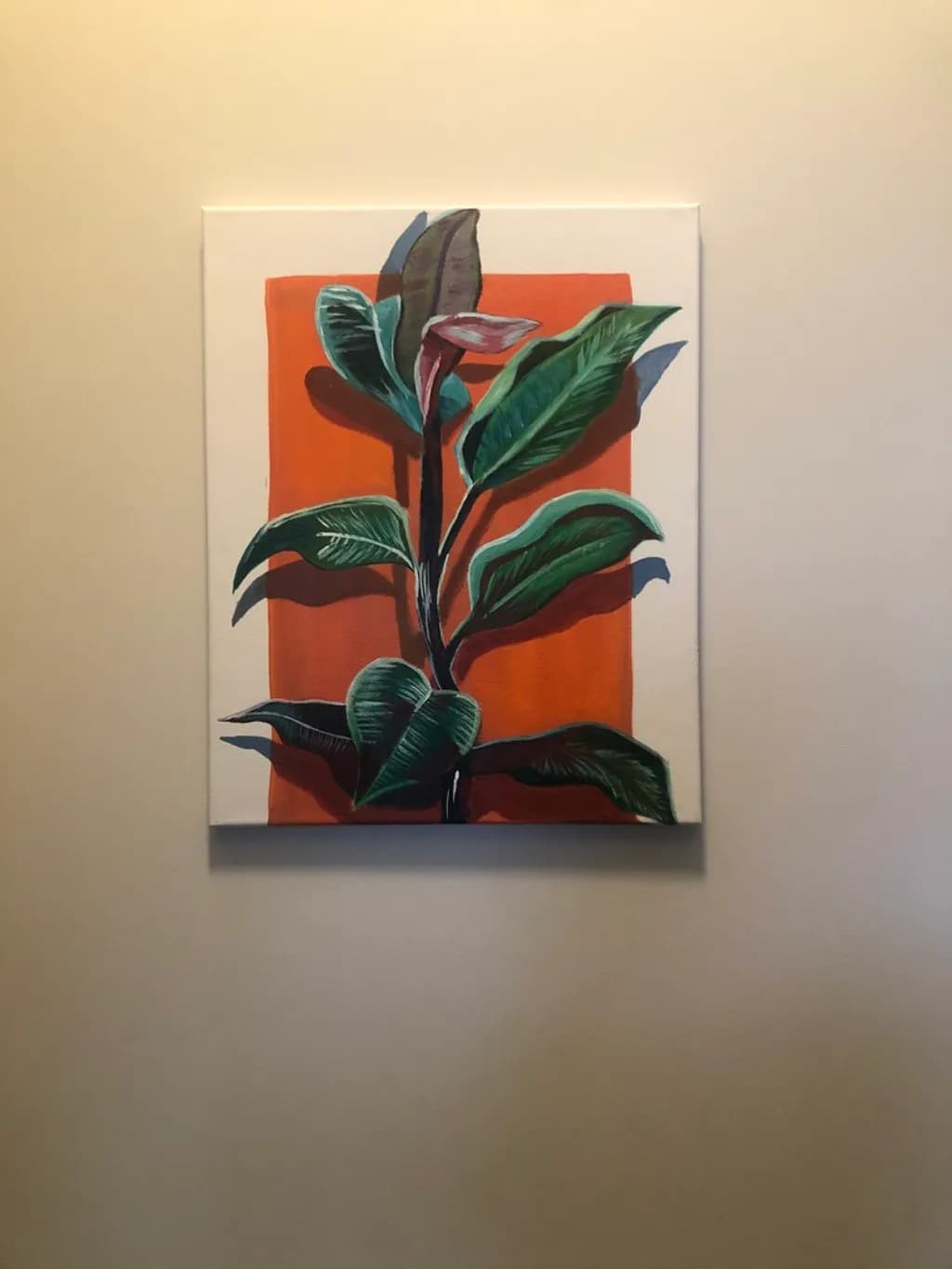 Tropical Contrast
