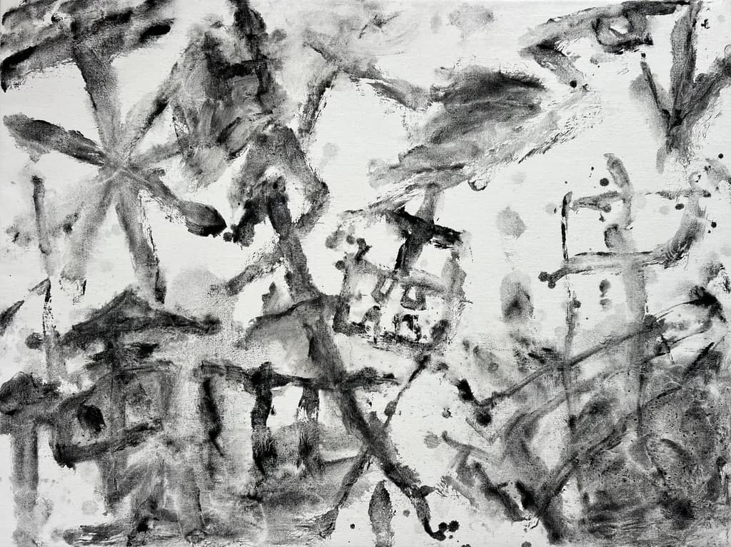 Monochrome Chaos