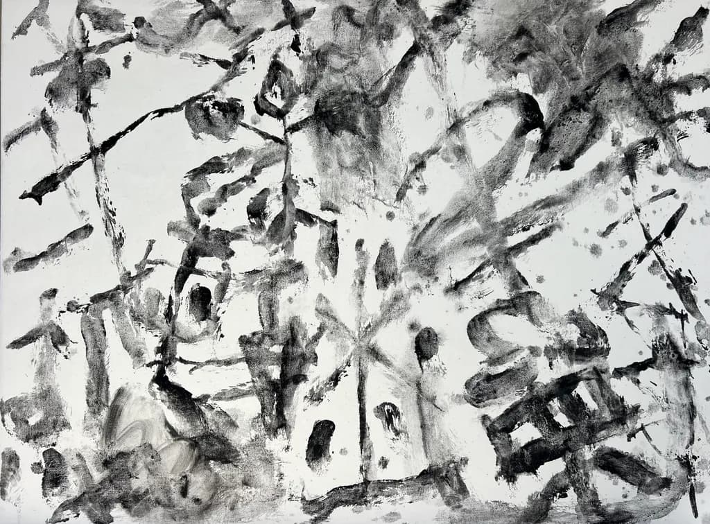 Monochrome Chaos