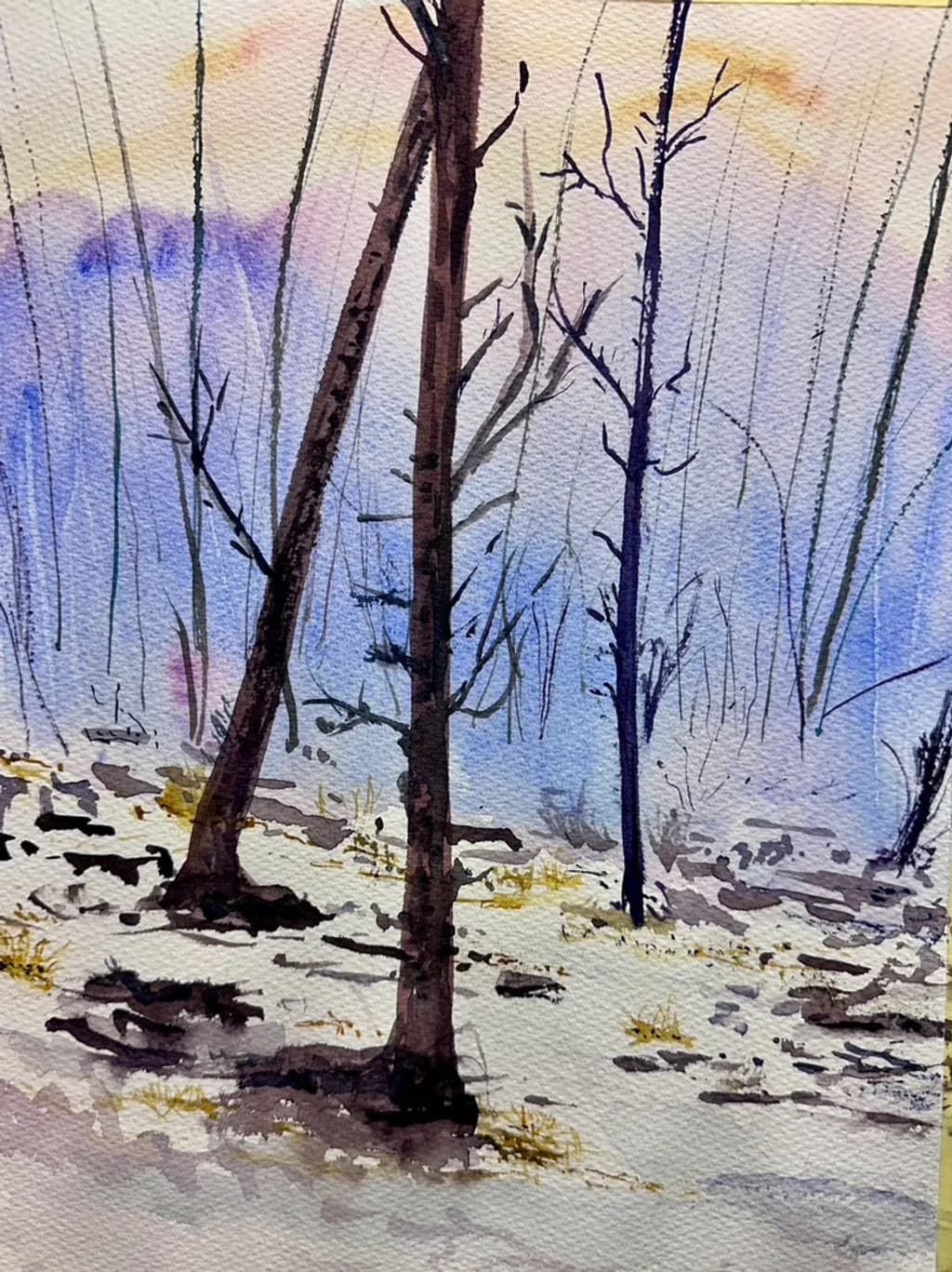 Winter's Embrace