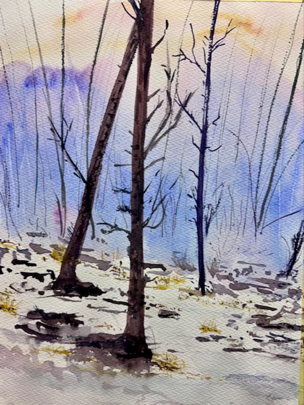 Winter's Embrace
