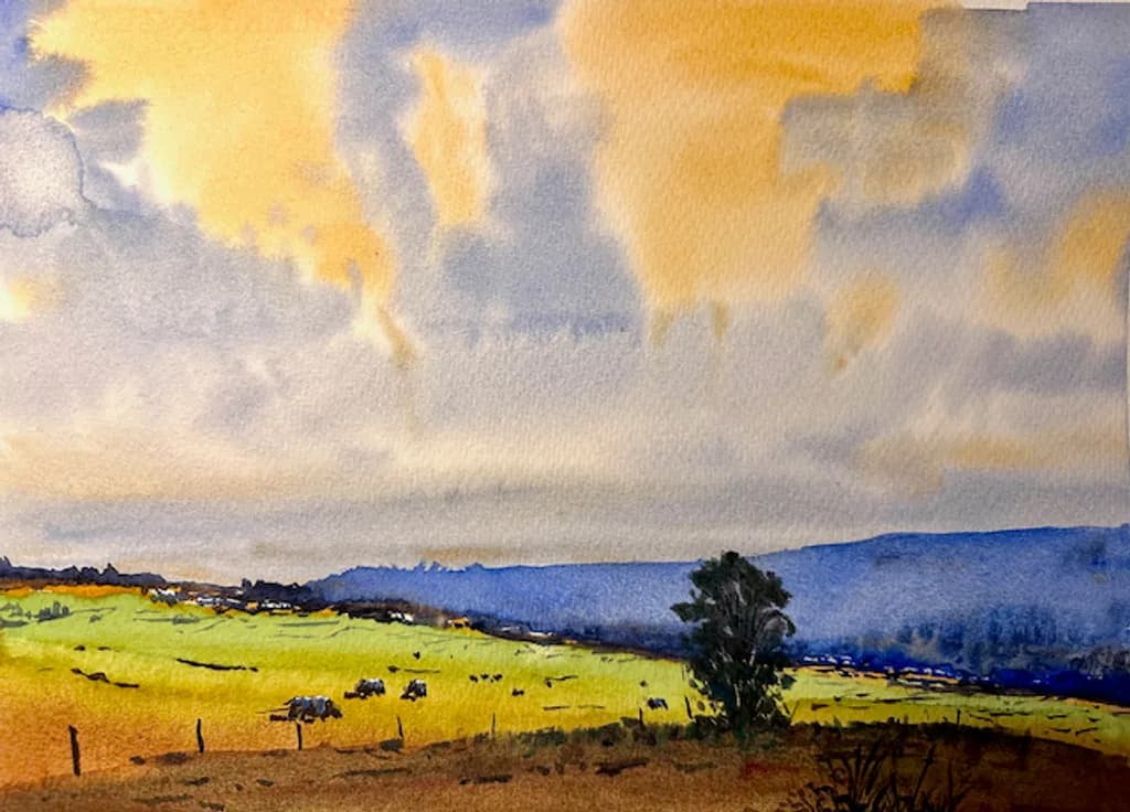 Fields of Light