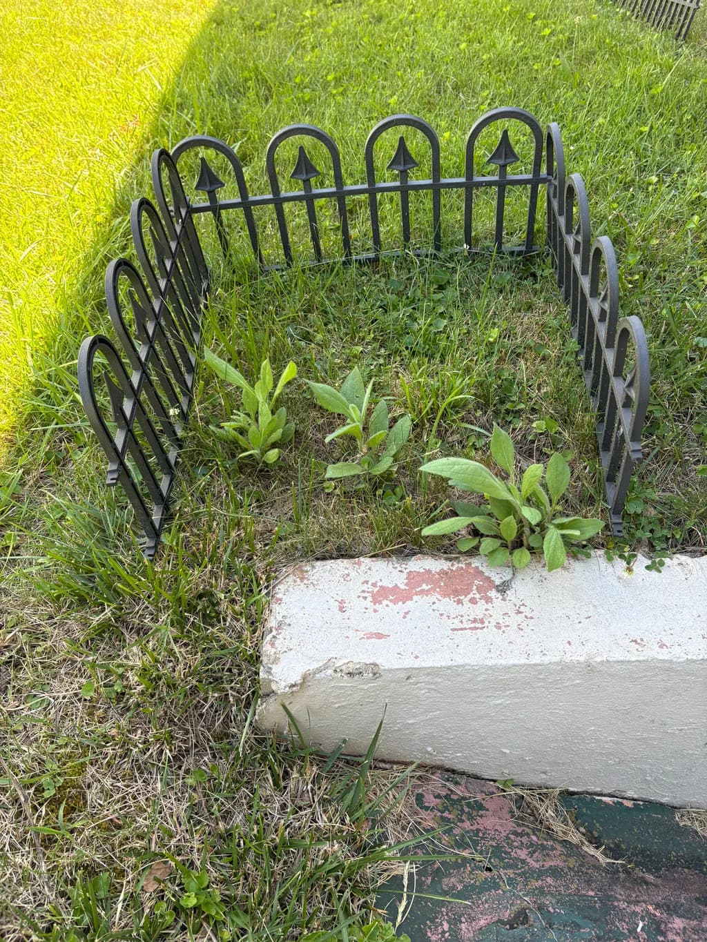 Fenced Growth