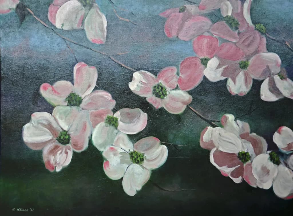 Pink Dogwood