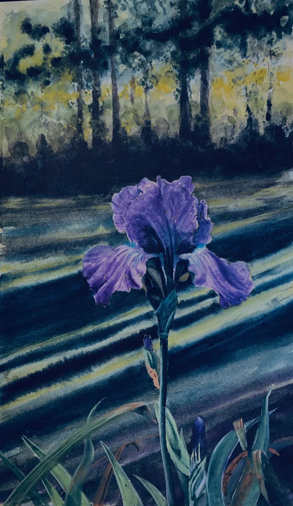 Iris in Twilight