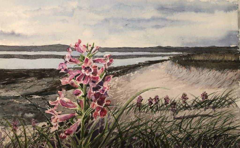 Coastal Serenity