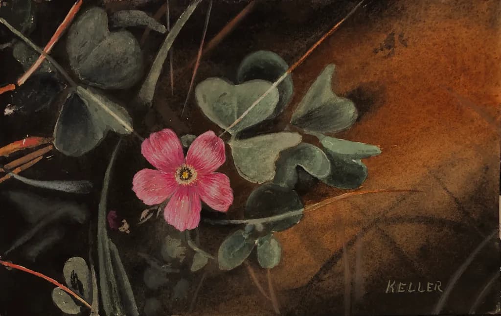 Pink Blossom