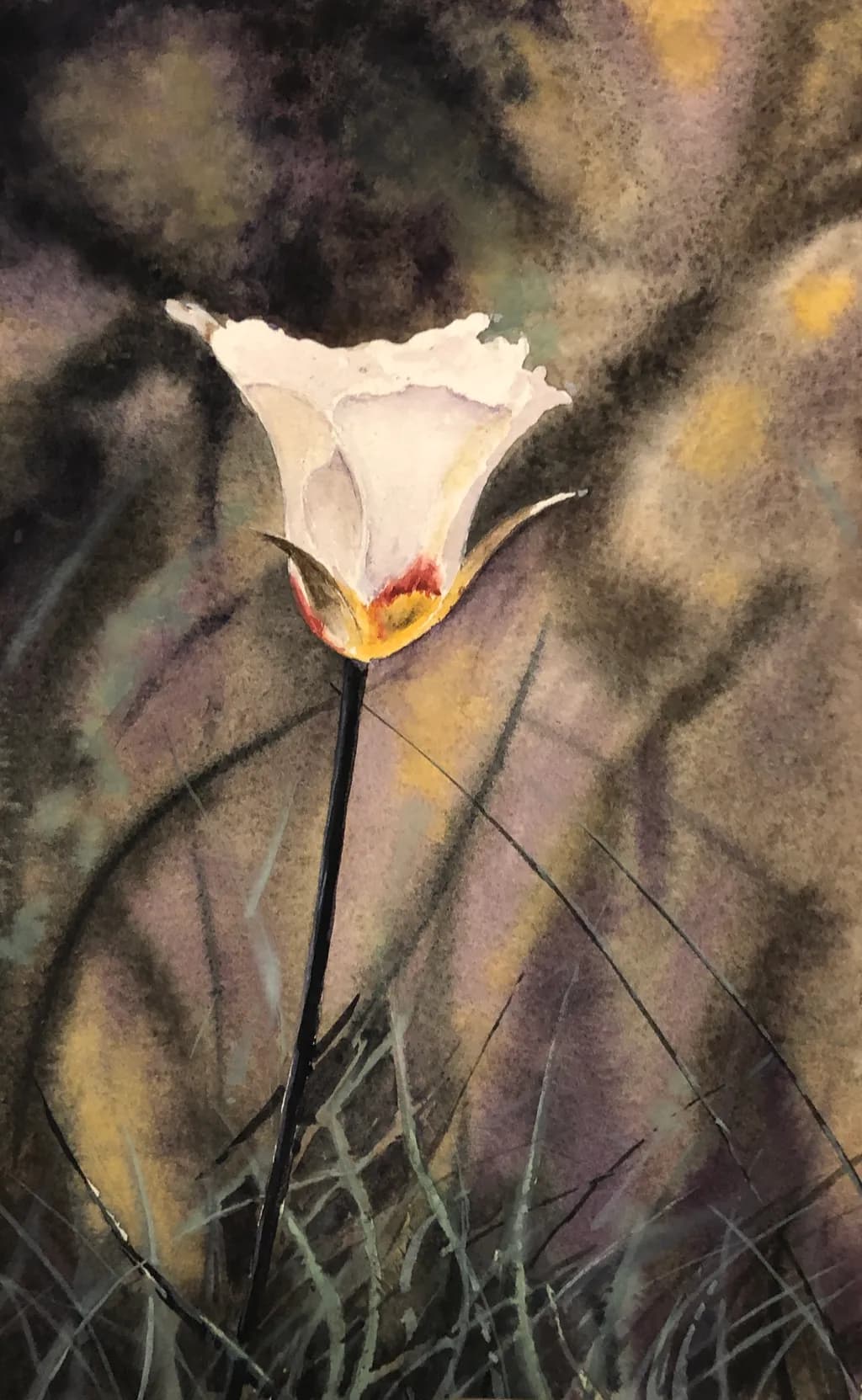 Delicate Bloom