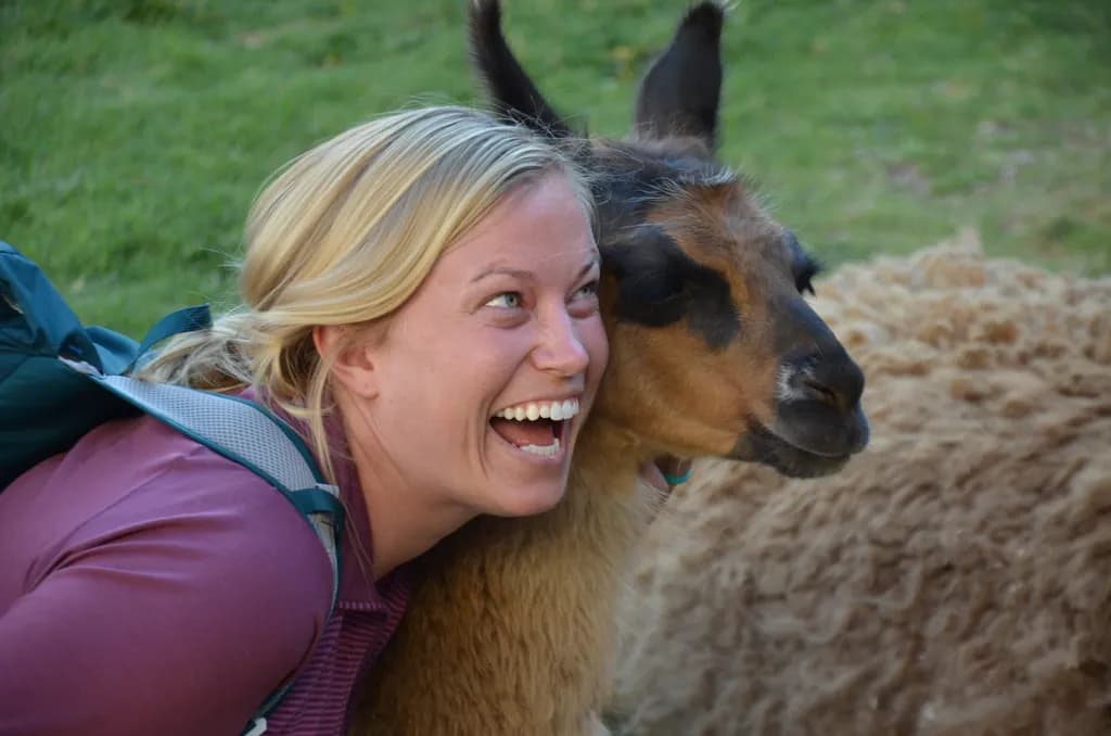 Joyful Companionship
